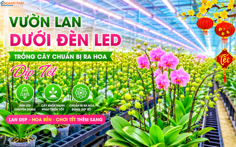 Đèn LED Nông Nghiệp: Giải Pháp Chiếu Sáng Kích Thích Quang Hợp & Tăng Năng Suất Cây Trồng