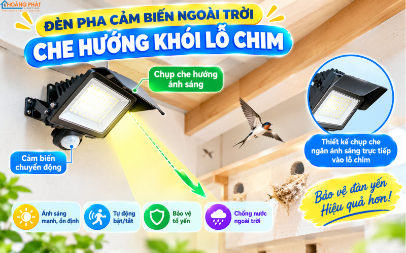 Chiếu sáng ngoài trời nhà yến