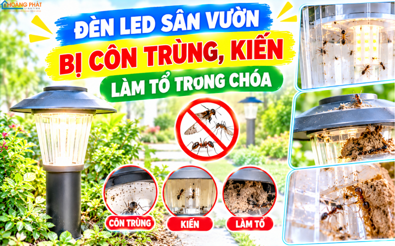 Đèn LED sân vườn bị côn trùng, kiến làm tổ trong choá