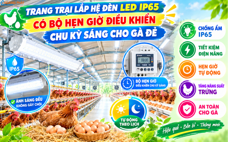 Hệ đèn LED chuồng trại hẹn giờ điều khiển chu kỳ sáng
