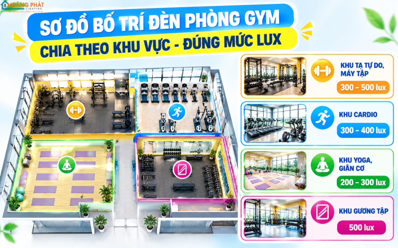 Sơ đồ bố trí đèn phòng gym theo khu vực