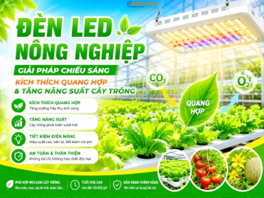 Đèn LED Nông Nghiệp: Giải Pháp Chiếu Sáng Kích Thích Quang Hợp & Tăng Năng Suất Cây Trồng