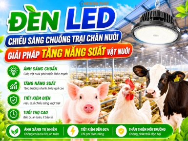 Đèn LED Chiếu Sáng Chuồng Trại Chăn Nuôi: Giải Pháp Tăng Năng Suất Vật Nuôi
