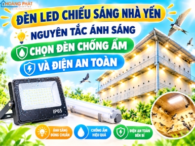 Đèn LED Chiếu Sáng Nhà Yến: Nguyên Tắc Ánh Sáng, Chọn Đèn Chống Ẩm Và Điện An Toàn