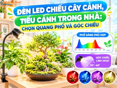 Đèn LED Chiếu Cây Cảnh, Tiểu Cảnh Trong Nhà: Chọn Quang Phổ Và Góc Chiếu