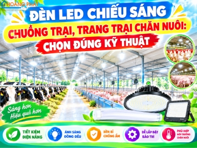 Đèn LED Chiếu Sáng Chuồng Trại, Trang Trại Chăn Nuôi: Chọn Đúng Kỹ Thuật