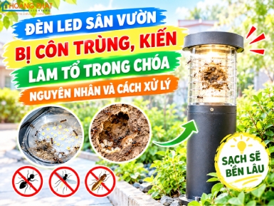 Đèn LED Sân Vườn Bị Côn Trùng, Kiến Làm Tổ Trong Chóa: Nguyên Nhân Và Cách Xử Lý